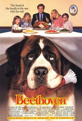久久一区二区免费播放