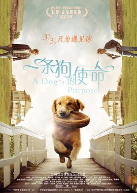 国产入口在线观看