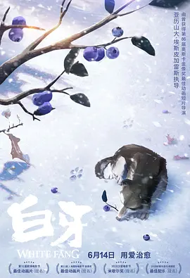 在线观看一夜七次郎国产