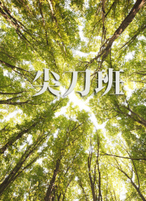 女神级办公女同事