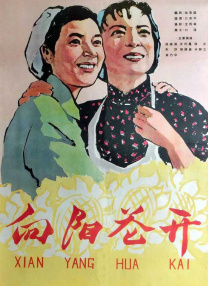 99亚洲视频