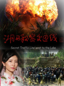 久久这里只是精品免费视频