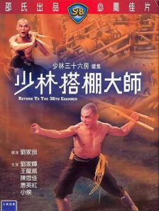 成年人视频免费